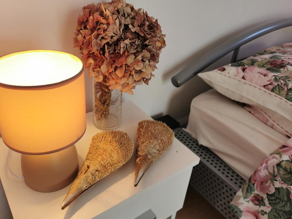 Apartmani Antonela&Andrej Privlaka  Exteriör bild